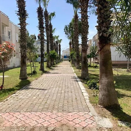 By The & Under The Palm Trees شقة *